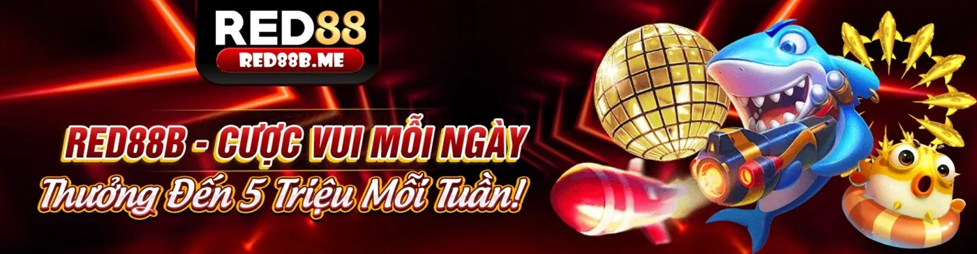 Người chơi truy cập tin tức f8bet 02 trên điện thoại